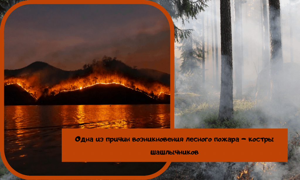 Основные причины лесных пожаров
